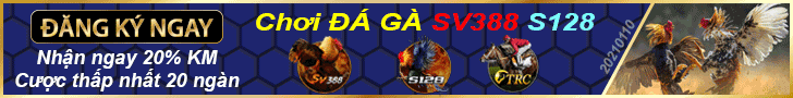 Banner 2